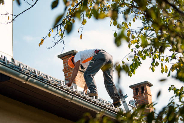 Best Local Roofing Companies  in Livingston, TN
