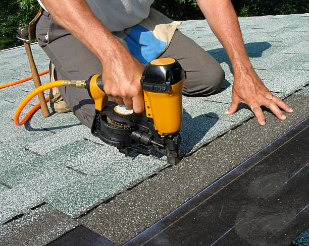 Best Roof Gutter Cleaning  in Livingston, TN