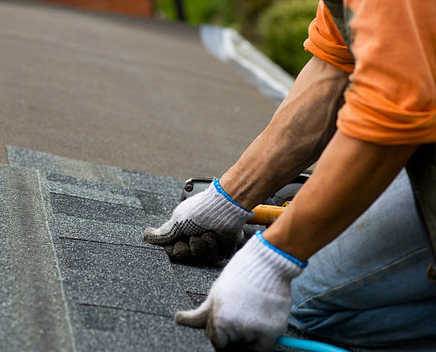 Best Flat Roof Repair Services  in Livingston, TN